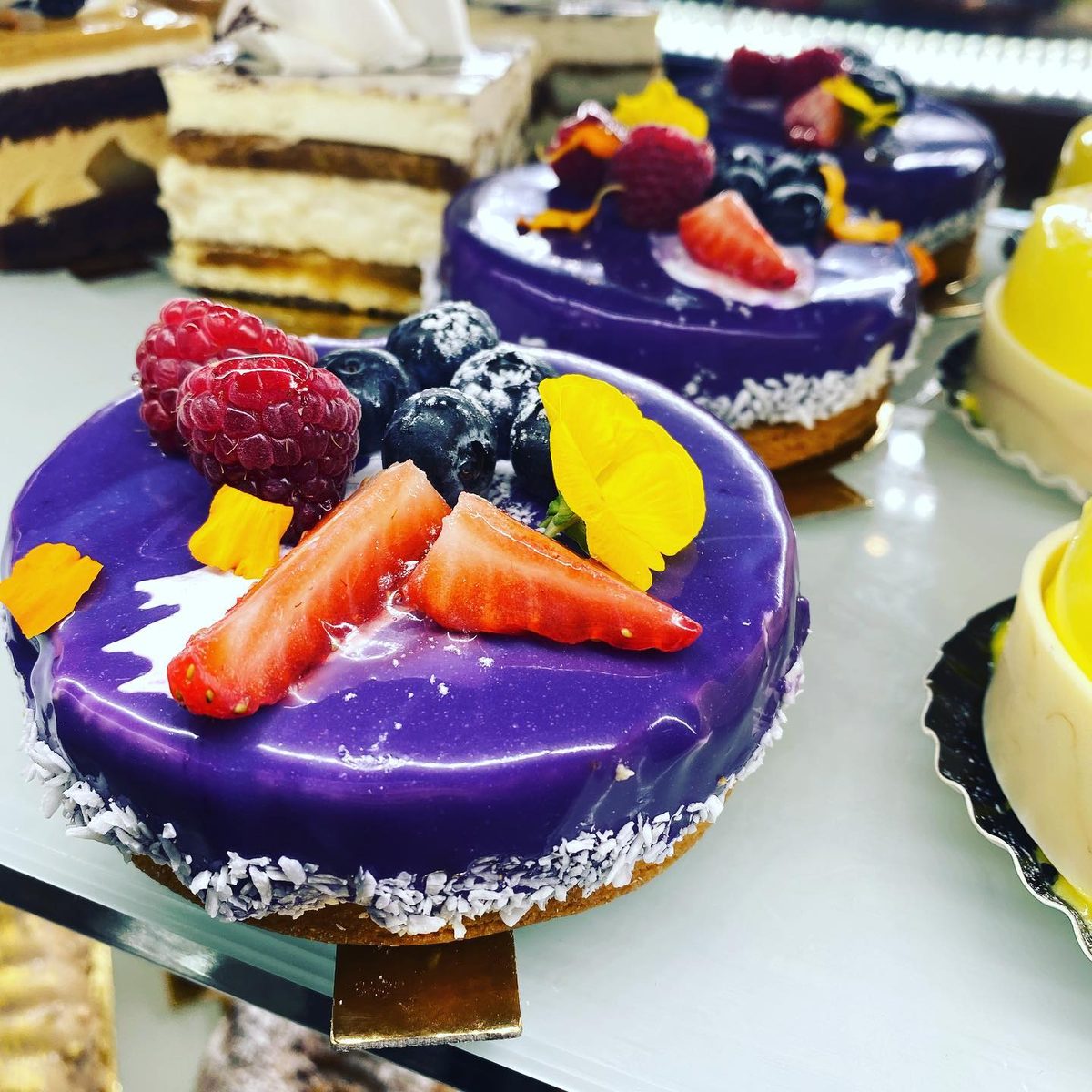 Purple berry mousse cakes with fresh fruit