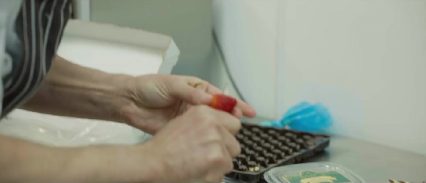 A pâtissier’s hands finishing desserts by hand at the kitchen bench